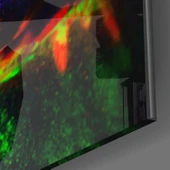 Neon Renkli Makyaj Cam Tablo thumbnail 3