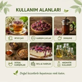 Ekinezya Çiçeği - 3 kg thumbnail 2