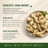 Zencefil Tane - 3 kg thumbnail 3