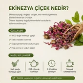 Ekinezya Çiçeği - 50 gr thumbnail 4