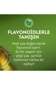 Lipton Berrak Yeşil Bardak Poşet Çay 20'li thumbnail 8
