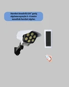 V070 SOLAR LAMBA thumbnail 2
