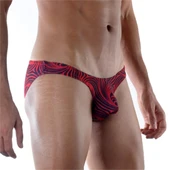 Desenli Erkek Slip thumbnail 1