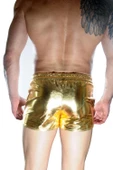 Erkek Gold Lame Short thumbnail 3