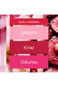 Glade Çubuklu Oda Kokusu Cherry Bloom 2'li Set 100 ml thumbnail 6