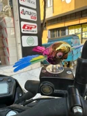 DİREKSİYON KUŞ thumbnail 2