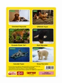 İlk 50 Hayvan Seti Flash Cards thumbnail 1