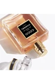 COCO Eau De Parfum Lüks ve Oryantal Bir Senfoni 100 ML thumbnail 2