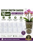 10 ADET ORKİDE ÜRETİM SAKSISI -ŞEFFAF (12 POT) thumbnail 2