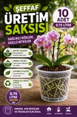 10 ADET ORKİDE ÜRETİM SAKSISI -ŞEFFAF (12 POT) thumbnail 1