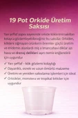 19 Pot Orkide Üretim Saksısı -2 adet thumbnail 2