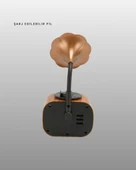 B5 RADYO - Lisinya thumbnail 5