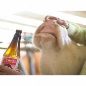 Royal Rovita Fresh 500ML thumbnail 2
