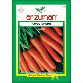 Arzuman Havuç Tohumu (10 Gr) thumbnail 2