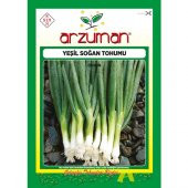 Arzuman Yeşil Soğan Tohumu 10 Gram thumbnail 1