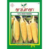 Arzuman Tatlı Mısır Tohumu 25 Gram thumbnail 1