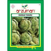 Arzuman Enginar Tohumu (20 Adet) thumbnail 1