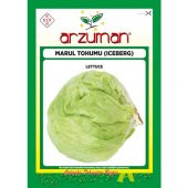 Arzuman Iceberg Marul Tohumu 5 Gram thumbnail 1