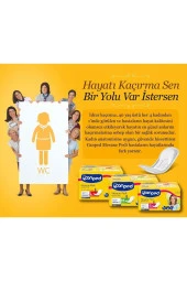 Canped MESANE PEDİ 10 LU ORTA (M) 1 ADET thumbnail 2