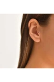 Coco Major Tragus thumbnail 3