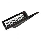 Korg RK-100S 2-BK thumbnail 1