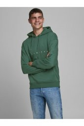 JACK JONES Erkek Kapüşonlu Sweatshirt 12176864 thumbnail 1