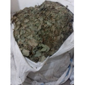 Epimedum Yaprak Bitki Çayı 50 G thumbnail 2