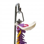 Omurga Maketi 45 cm Model 14 thumbnail 3