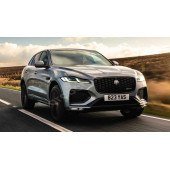 Jaguar E PACE Ön Panjur Izgara Panter 3M 3D Logo 100mm thumbnail 7