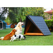 Mandu Ahşap Köpek Kulübesi (A Frame) thumbnail 3