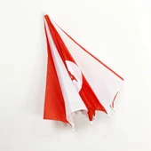 Kırmızı - Beyaz thumbnail 2