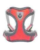Köpek Armalı Göğüs Tasması Gezdirmeli Medium thumbnail 3