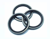Piston Keçesi Ptfe / Nbr K17 - 84.5x100x6.3 thumbnail 6