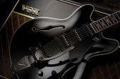 VOX BOBCAT S66 BIGSBY thumbnail 4