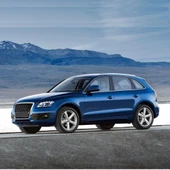 Audi Q5 2009-2017 Sol Arka Kapı Cam Düğmesi Krom 8K0959855B thumbnail 3