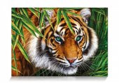Star Oyun Kaplan Bakışı 500 Parça Puzzle thumbnail 2