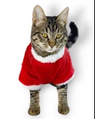 Cat Santa Bow Yılbaşı Kedi Sweati thumbnail 4