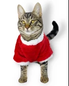 Cat Santa Bow Yılbaşı Kedi Sweati thumbnail 6