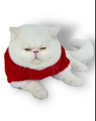 Cat Santa Bow Yılbaşı Kedi Sweati thumbnail 7