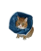 Kedi Yakalığı 18 cm thumbnail 1