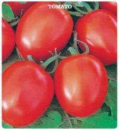 Domates Tohumu H-2274 2 Gram thumbnail 1