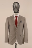 Regular Fit Takım Elbise thumbnail 3