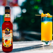 MONTE CRİSTO ŞURUP MANGO 70CL thumbnail 2