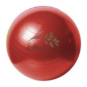 Pilates Topu 20 Cm thumbnail 2