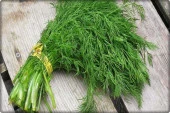 Arzuman Dereotu Tohumu (10 Gr) thumbnail 2