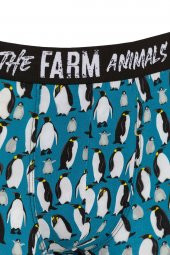 Farm Animals Penguins Desenli Boxer thumbnail 3