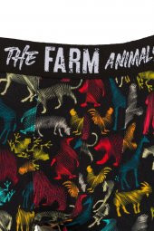 Farm Animals All Animals Desenli Boxer thumbnail 2