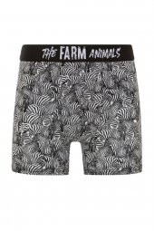 Farm Animals Zebra Desenli Boxer thumbnail 1