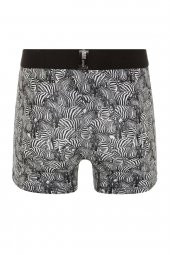 Farm Animals Zebra Desenli Boxer thumbnail 2