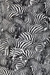 Farm Animals Zebra Desenli Boxer thumbnail 4
